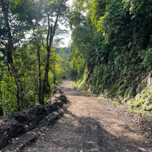 Colombia montañas, selva y cafetales