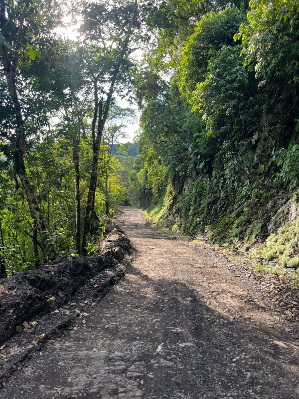 COLOMBIA en moto. Montañas, Cafetales, Pueblos Coloniales, Belleza Natural. - Imagen 77