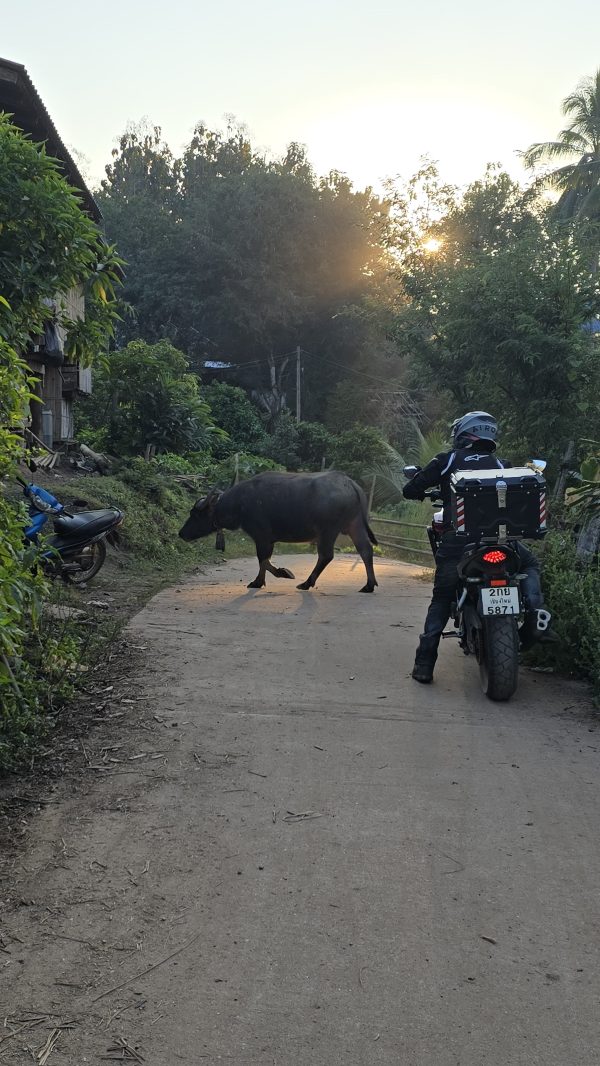 TAILANDIA en moto - Imagen 21