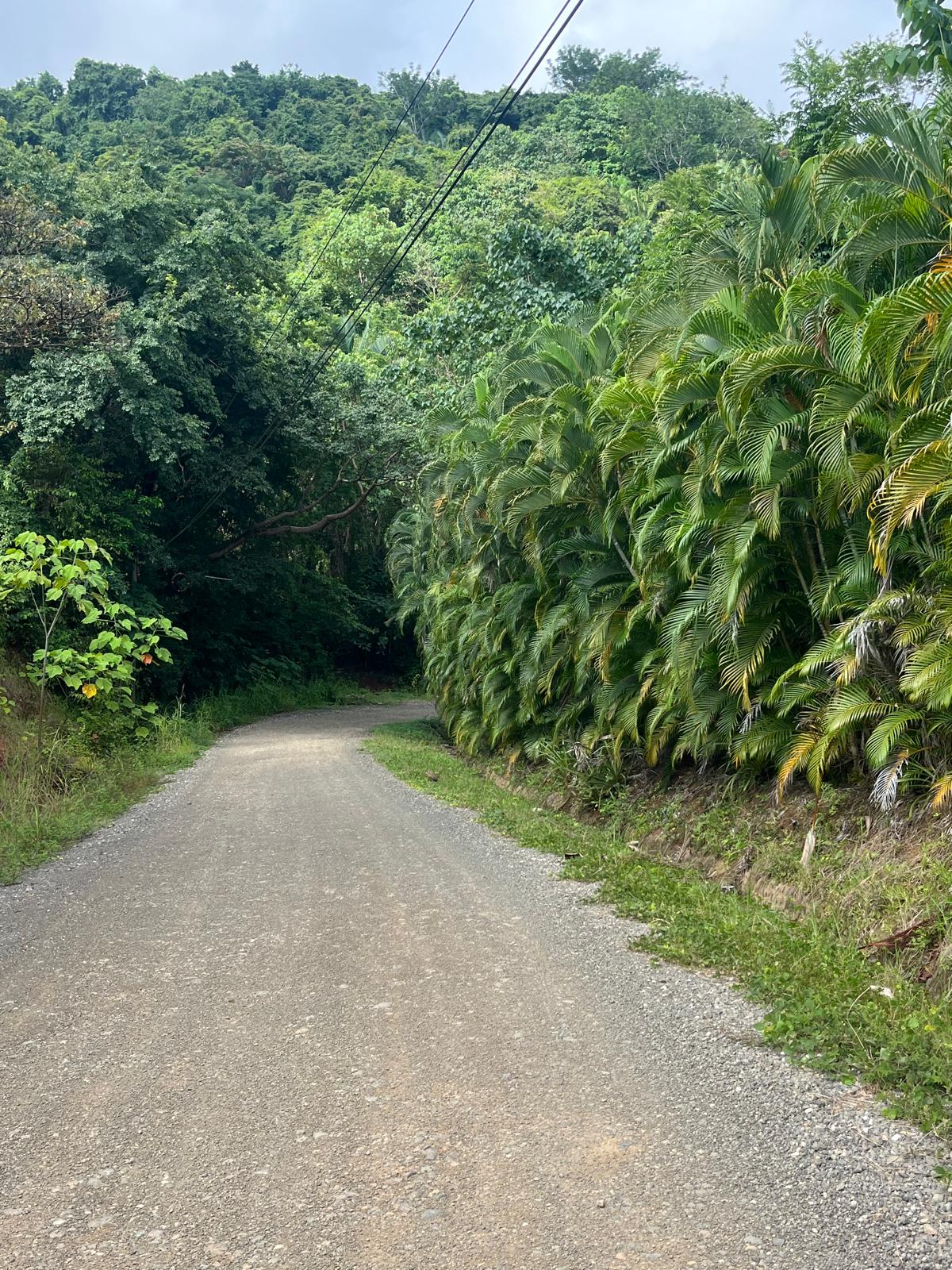 Costa Rica en moto, pura brida !!!!! - Imagen 3