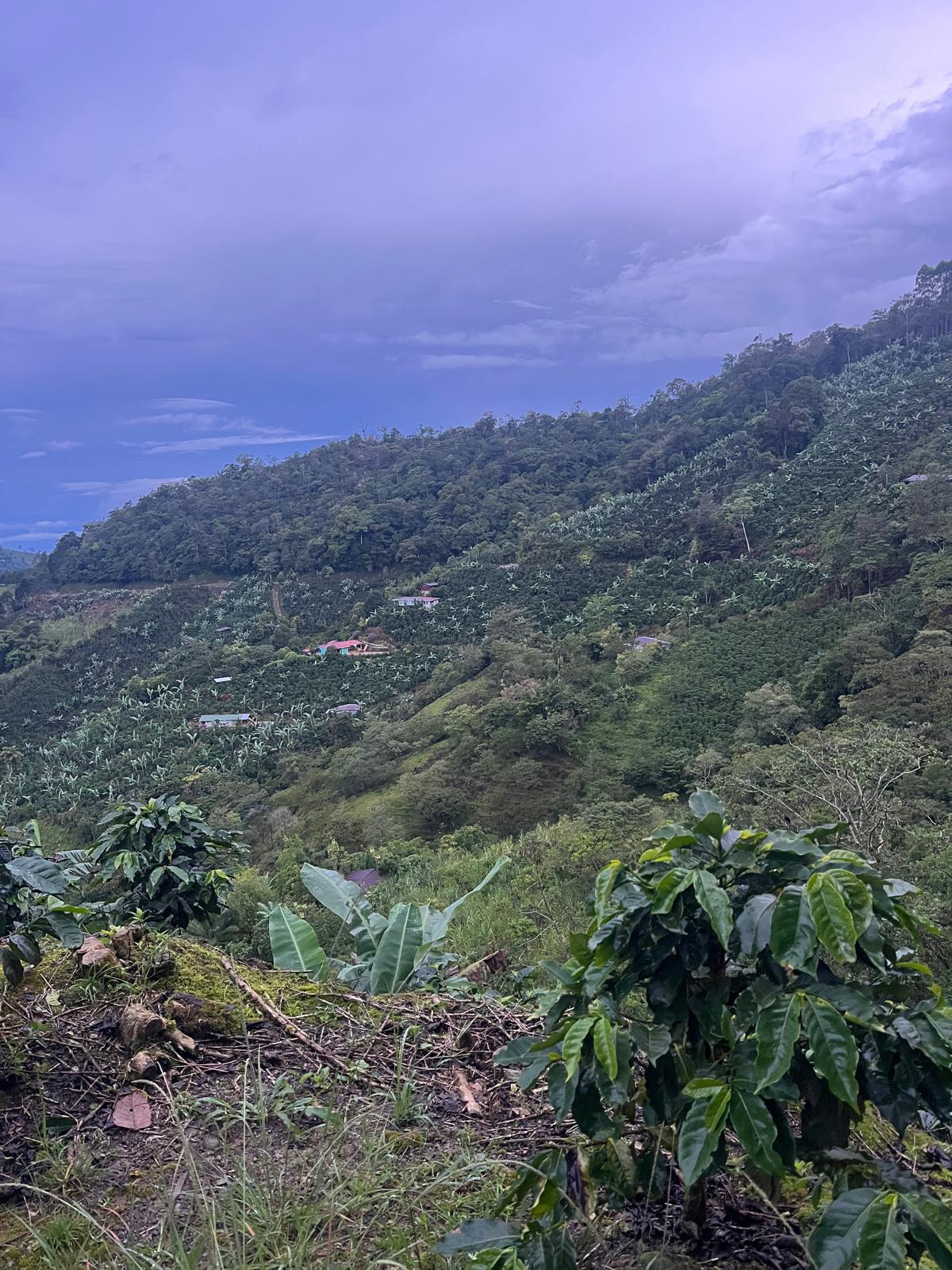 Costa Rica en moto, pura brida !!!!! - Imagen 8