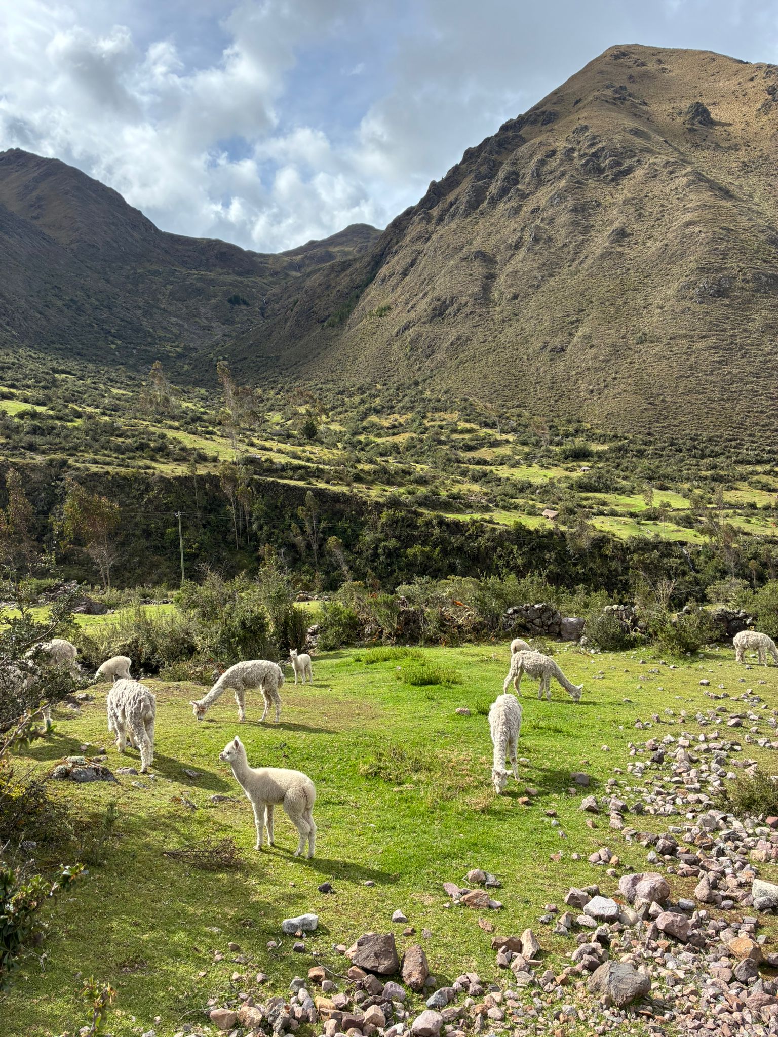 Perú en Moto - Desafio Inca. - Image 8