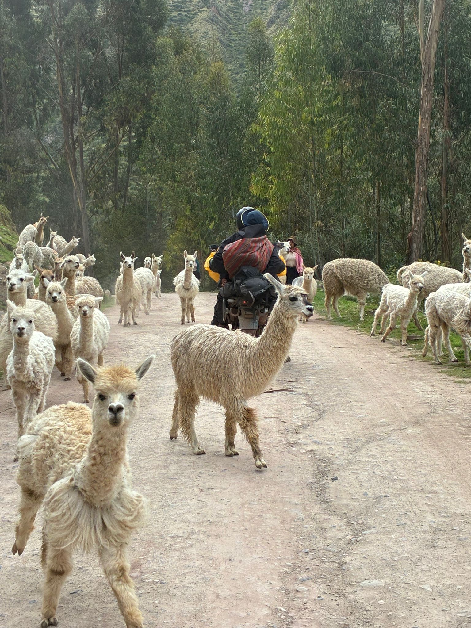 Perú en Moto - Desafio Inca. - Image 26